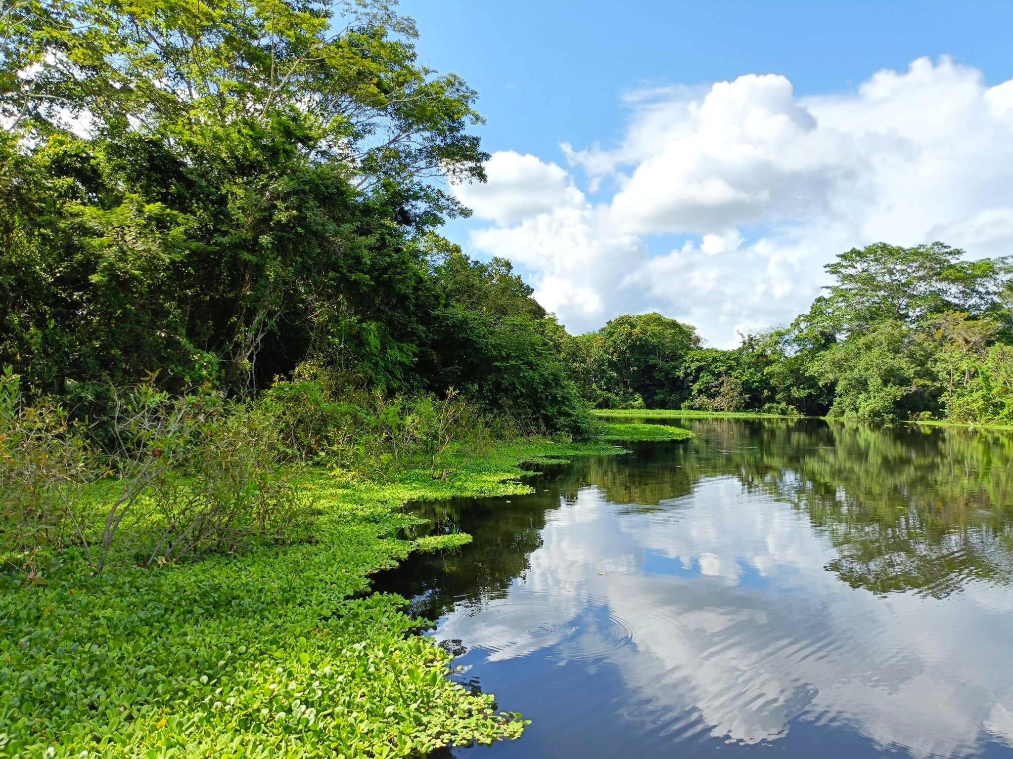 Tour Laguna Yarinacocha - foto 4